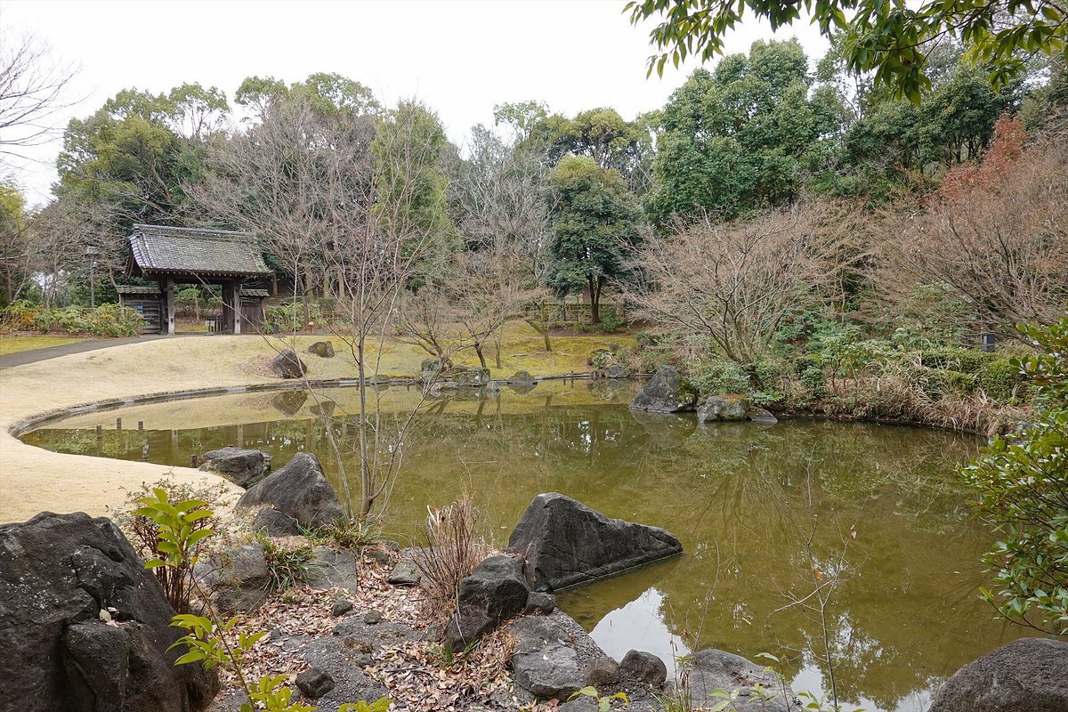 🌳 타마 중앙공원 (타마추오코엔) 이미지 7